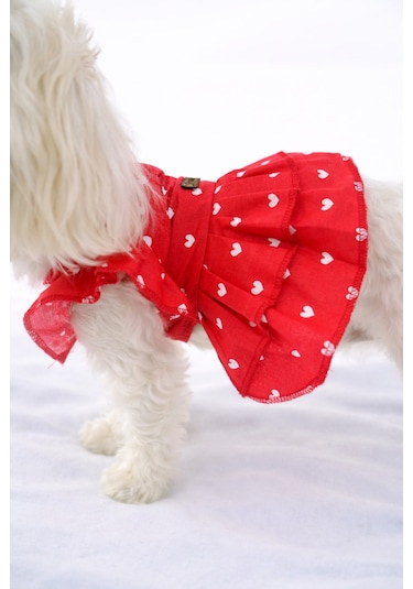 Kedi - Köpek Yazlık Pamuklu Poplin Elbise - Kıyafet - Tişört