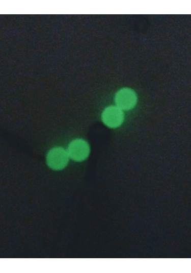 Sonsuz Gezer Çipura Takımı Roket Model