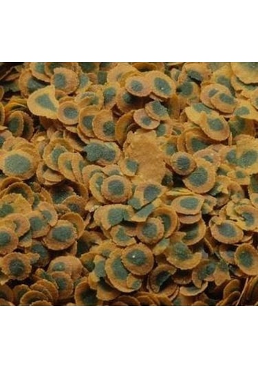 Tetra Pro Algae 100 Gam Kovadan Bölme