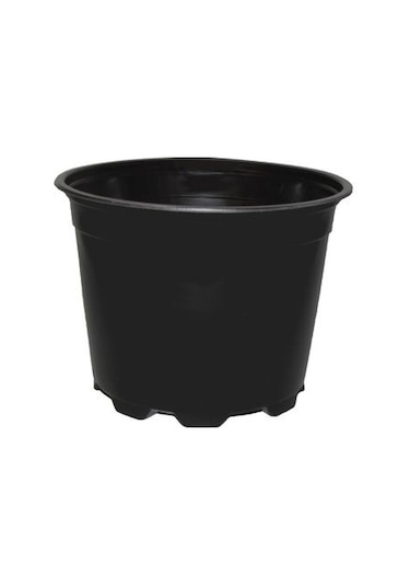 50 Adet Renkli Saksı Vakum Saksı Üretim Saksısı Ucuz Saksı