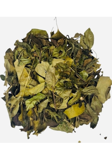 Ginko Biloba Rize Yaprak Yeşil Çay Harmanı Zengin Kaynağı %100 Doğal El Yapımı, 100 Gr