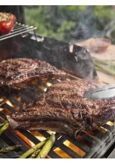 Weber Spırıt Ep 425 Gazlı Barbekü Mangal-227 Siyah