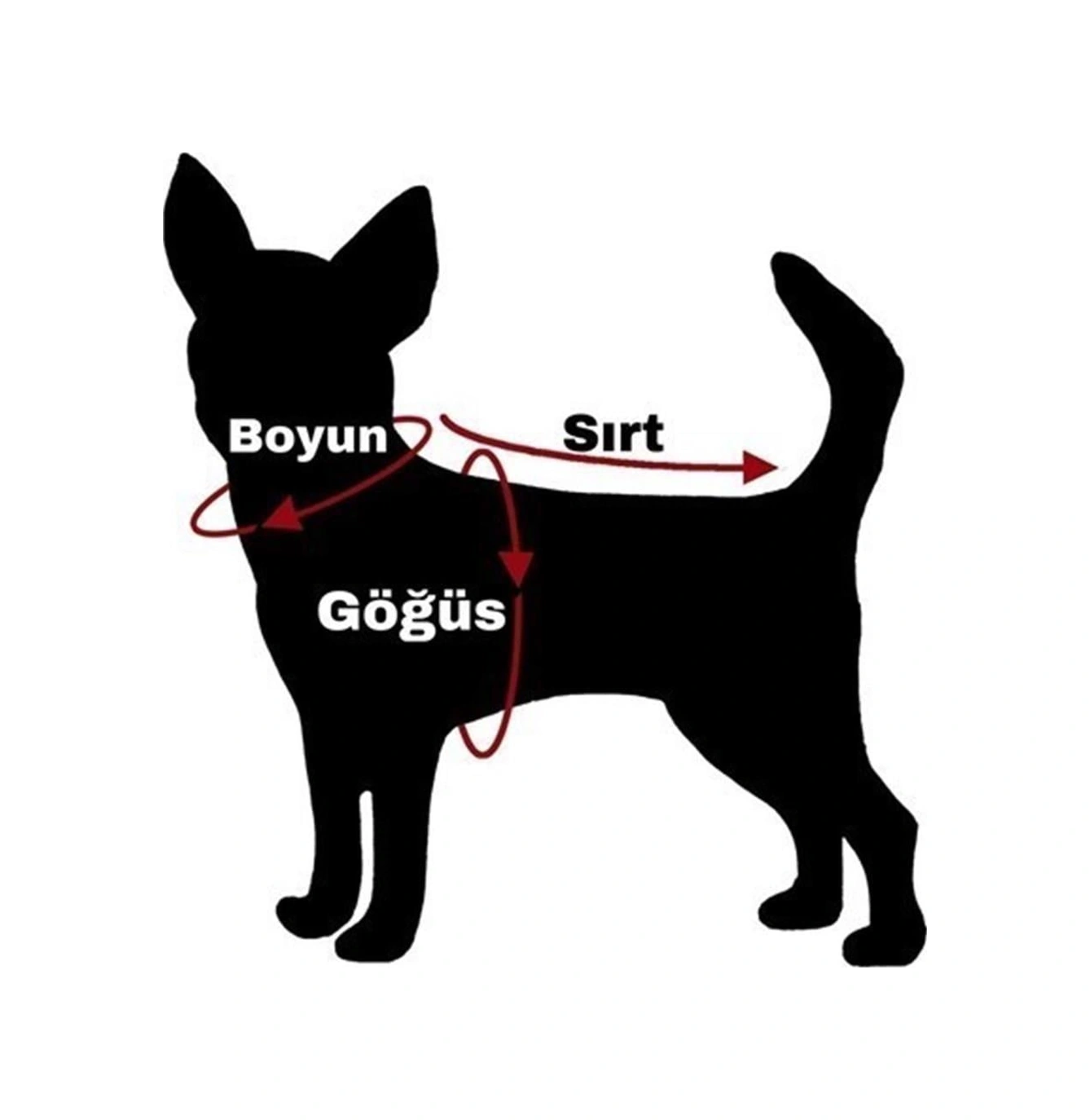 Alphadog Grey Star Küçük Irk Köpek Pofuduk Kaban