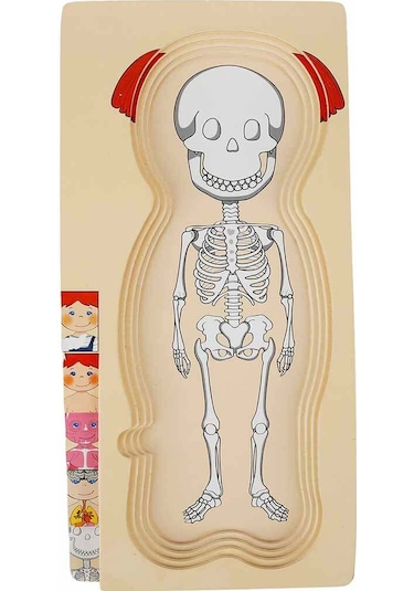 Woody Katmanlı İnsan Vücudu Giydirme Oyunu Ahşap Puzzle Yapboz
