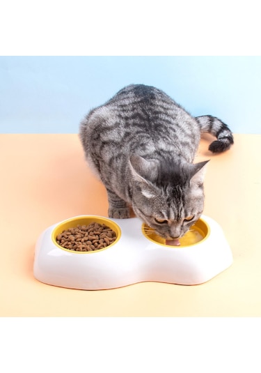 Homyl Köpek Kedi Besleyici Yumurta Sarısı Tasarım