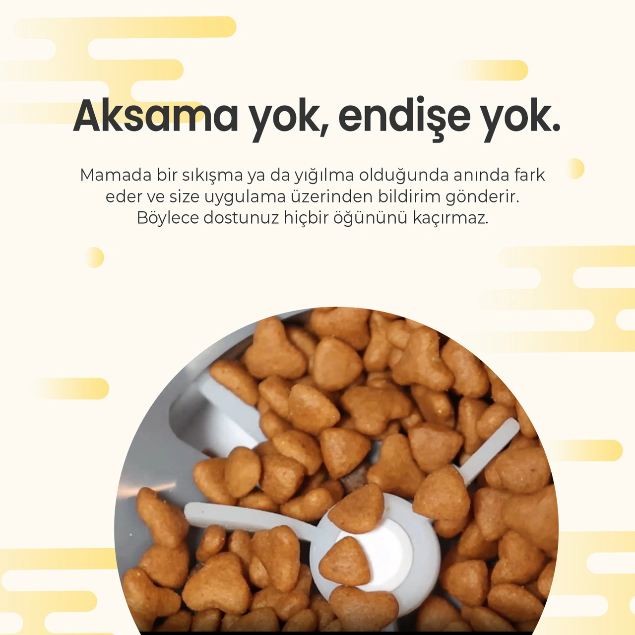 Haustier Pf02 Siyah Akıllı Kedi Köpek Otomatik Mama Kabı, App