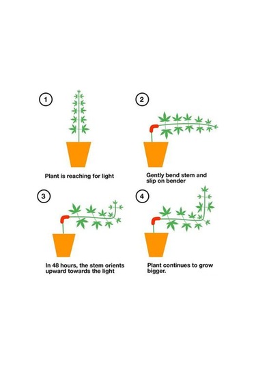 Dianziye 100 Adet Plastik Bitki Dal Bükücü Seti - 90 Derece Bahçe Sabitleyici, 3.5x1 Cm Kırmızı, Tomat Orkide Şekillendirici