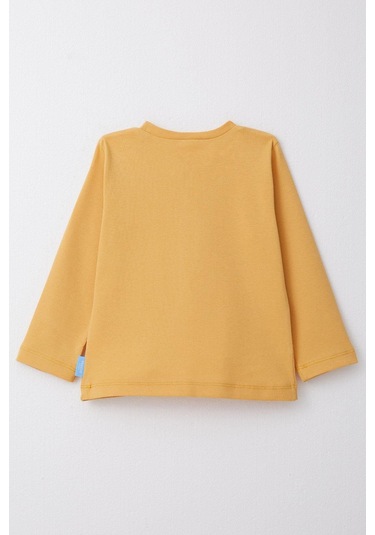 Breeze Erkek Çocuk Uzun Kollu Tişört Basic 1-4 Yaş, Hardal Sarı Hardal Sarı