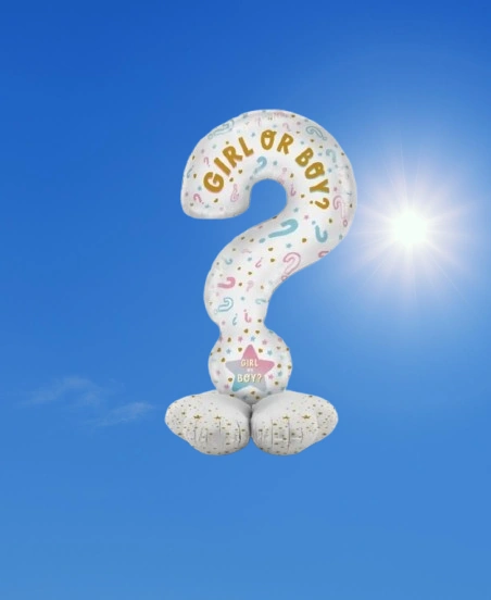 Folyo Balon Soru İşareti 60x110cm Cinsiyet Partisi Ayakta Durabilen Cinsiyet Partisi Temalı Folyo Balon Diğer
