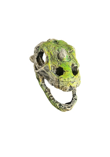 Dinazor Kafası Akvaryum Dekoru Büyük Boy