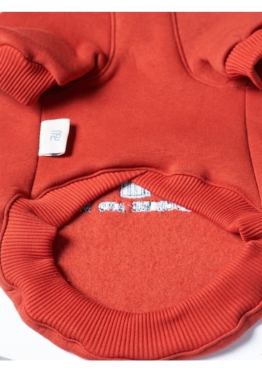 Cacti Küçük ve Orta Irk Köpekler İçin Köpek Sweatshirt