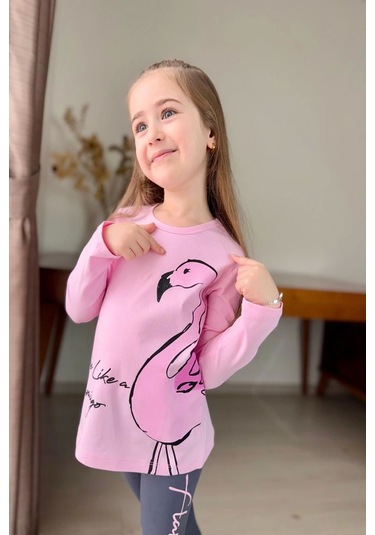 Flamingo Desenli Pembe Renk Kız Çocuk Mevsimlik Taytlı Takım Pembe