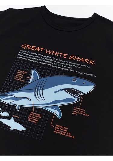 Denokids Mushi Köpekbalığı Kamo Erkek Çocuk T-Shirt Şort Takım Çok Renkli