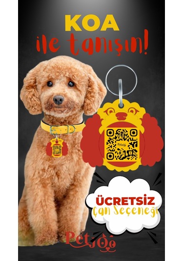 Petjoo 14.Koa Kırmızı-Sarı Qr'lı Köpek Künyesi