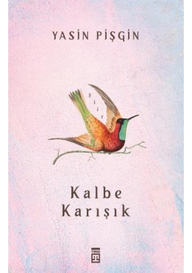 Yasin Pişgin Set 4 Kitap