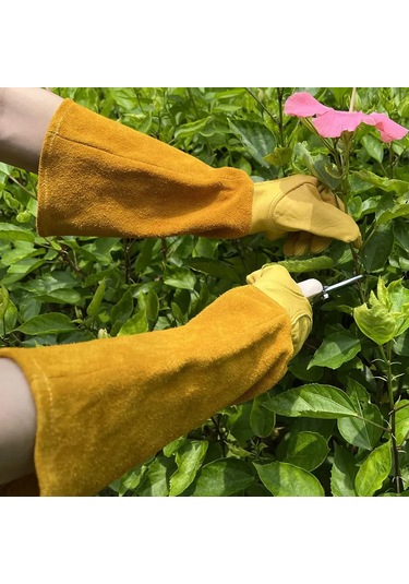 Teltree Uzun Kollu Deri Bahçe Eldiveni, Dikenli Bitkiler İçin Kesme Ve Çizik Korumalı, M Bedeni, Kahverengi-sarı