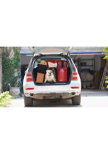 Domblesk+ Araba Bagajı İçin File 217082256