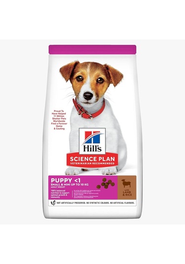 's Scıence Plan Küçük Irk Kuzulu & Pirinçli Yavru Köpek Maması 6 Kg