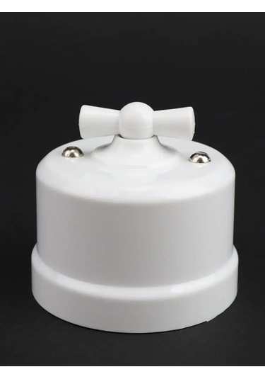 Tdmelectric Retro Anahtar Yüzey Montajlı Döner İki Tuşlu 1 Adet 151177916