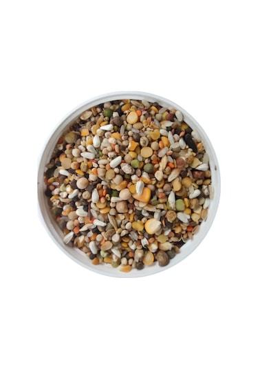 Özel Karışık Güverci̇n Yemi̇ 10kg