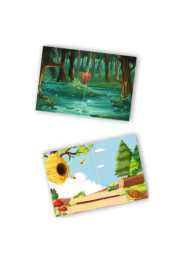 My Sticker Book '' Insects'' , Tükenmeyen Sticker Kitabı Böcekler