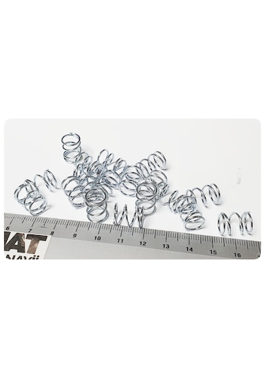 Baskı Yayı 1,00x10x13mm 1 MM