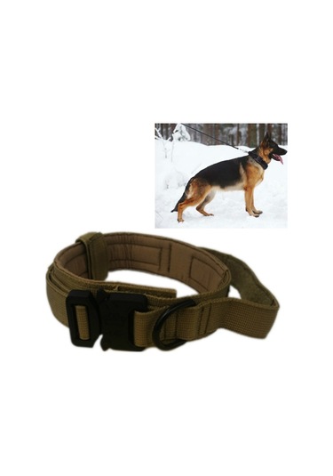 Evcil Hayvan Tasması For L Haki Turuncu