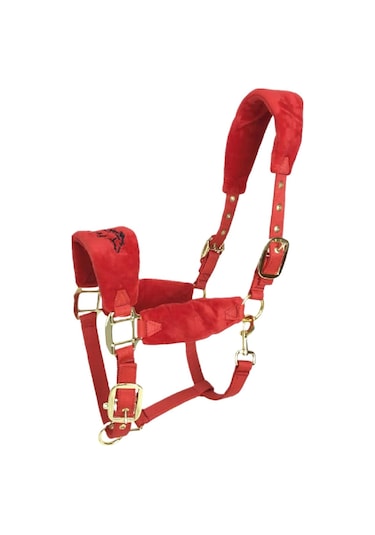 Homyl At Yuları Yastıklı Ayarlanabilir Kırmızı-m Kırmızı M