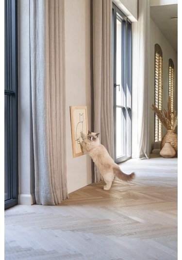 Beeztees Dbl Kedi Tırmalama Tahtası, 50x40x2cm