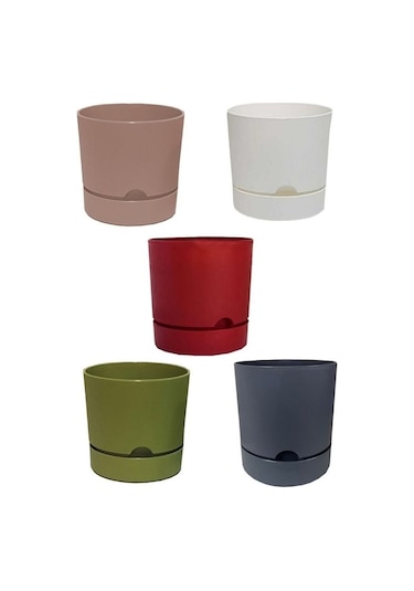 5 Adet Polıwork Saksı Begonya 12 Cm Renkli