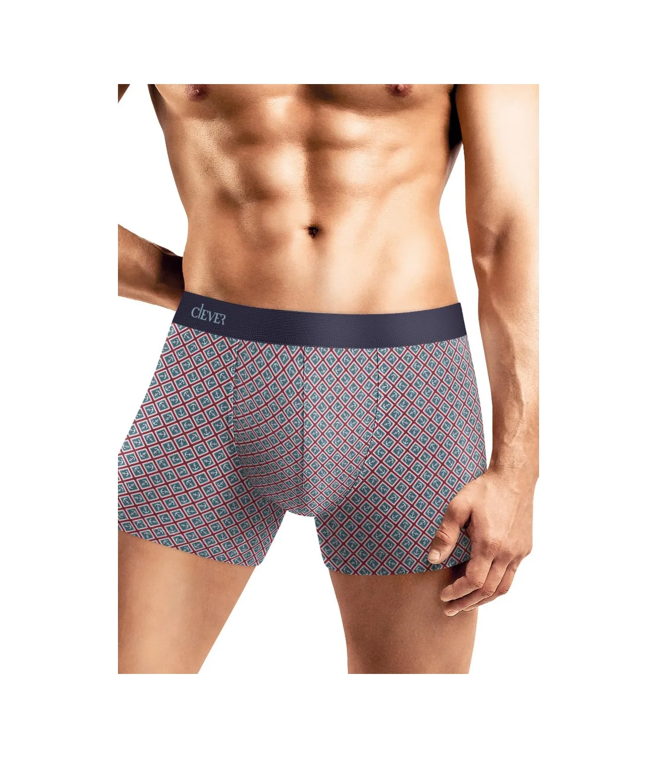 Clever Wear Desenli Boks Külotları 448981106 Mavi