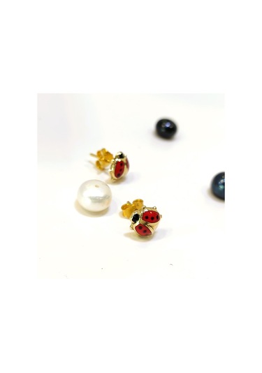 Altın Ürünler Uğur Böceği Visalı Küpe