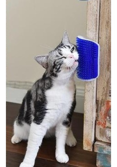 Cat It Kedi Kaşınma Fırçası 13 CM