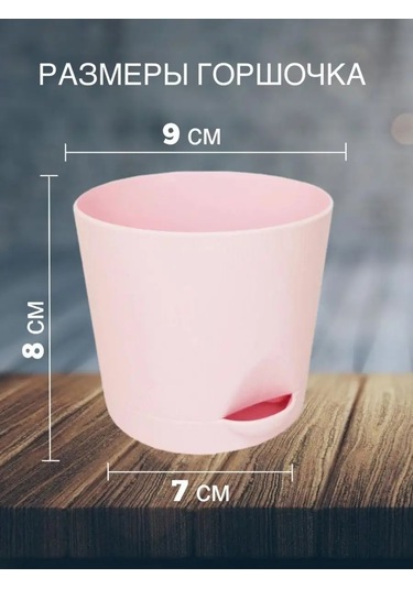 Interm Meyan Çiçeği Saksısı Küçük Plastik Saksı Seti 104978040