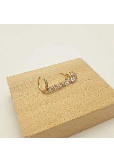 Su Yolu Kıstırmalı Çelik Kıkırdak Küpe Gold