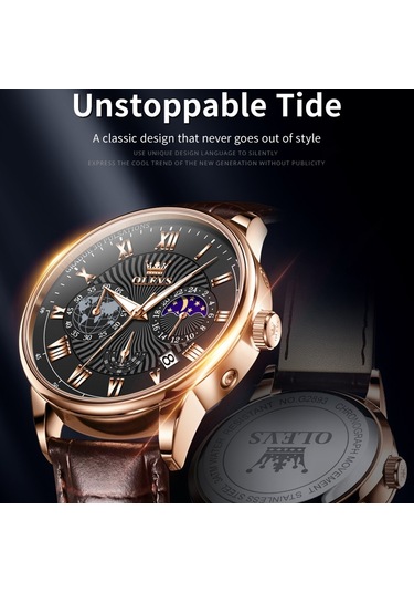 Olevs 2893 Erkekler Çok Fonksiyonlu İş Kuvars Saati Kahverengi + Siyah