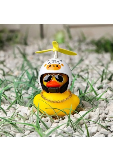 Simalend Arabanın İçinde Kasklı Ve Gözlükli Ördek 165493344