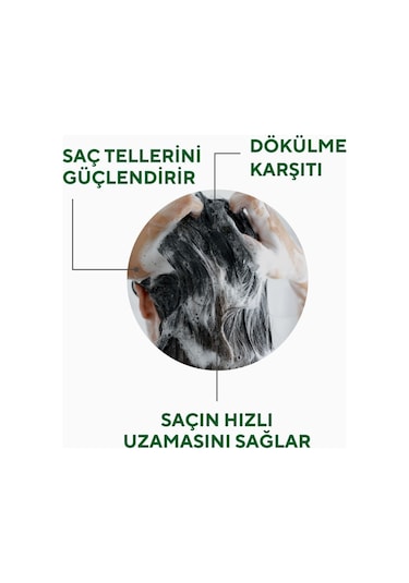 The Ceel Biberiye Şampuanı Dökülme Karşıtı ve Hızlı Uzamaya Yardımcı Keratin, Biotin ve Kolajen Özlü 250 ml
