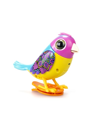 Digibirds Tekli Paket Seri 2 - Model 1