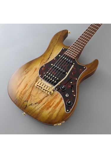 Fujigen Odyssey Elektro Gitar Eos2ew1rm/hcb