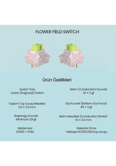 Aula Leobog Huatian Lineer Mekanik Switch 100 Adet
