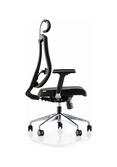 Dekofis Goldsit Ergonomik Yönetici Koltuğu