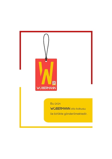 Ustaparçacı + Goodyear Renault Megane 4 2016-2021 Muz Silecek Takımı