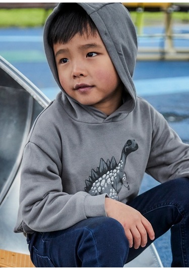 Mayoral Gri Erkek Çocuk Dinazor Baskılı Kapüşonlu Sweatshirt 4407 Gri