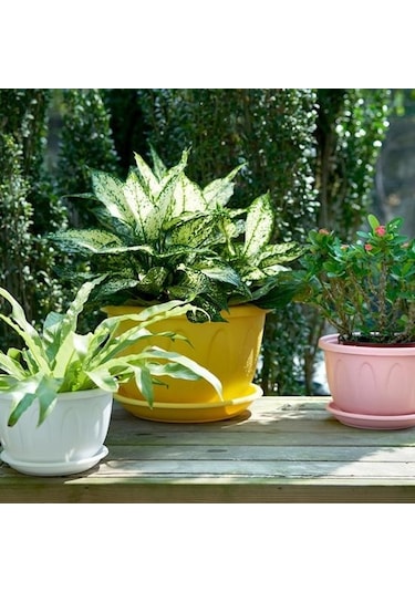 Gri Saksı Avlu İçin Yararlı Hafif Yuvarlak Plastik Bahçe Ekici Yüksek Kaliteli Güzel L