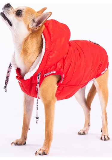Pawstar Kırmızı Railway Anorak Yelek Köpek Yeleği