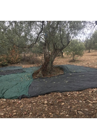 5x5 Metre Zeytin Sergisi Zeytin Toplama Filesi Fındık Fıstık Örtüsü Gölgelik Dut Meyve Sergisi Taban Örtüsü