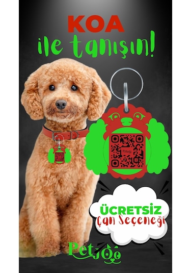 Petjoo 14.Koa Yeşil-Kırmızı Qr'lı Köpek Künyesi
