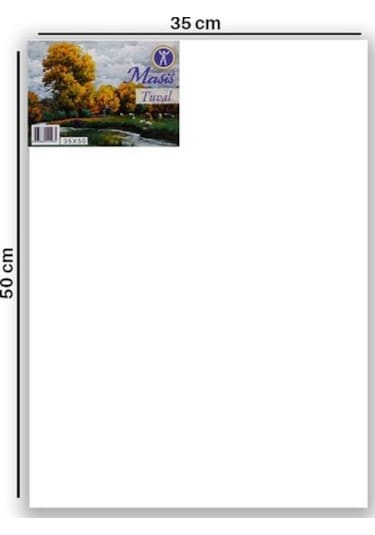 Masis 35X50 Cm Tuval