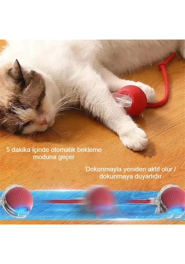 Akıllı Kendiliğinden Dönen Kedi Oyuncağı 360 Şarjlı Hareket Eğlence ve Egzersiz Kırmızı